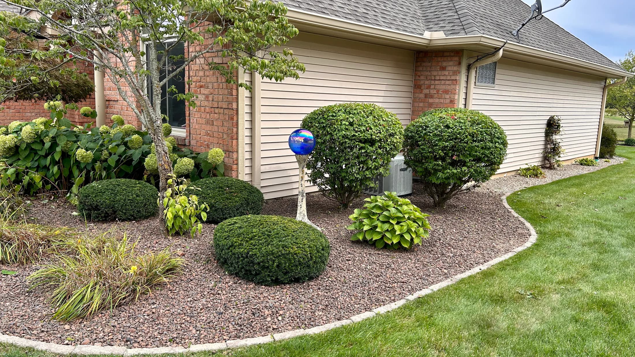 Curved landscape beds with shaped shrubs and flowering hydrangeas