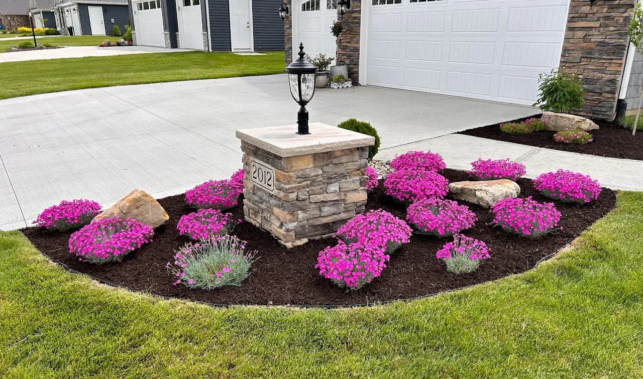 Bright pink flowers arranged in a freshly mulched landscape bed