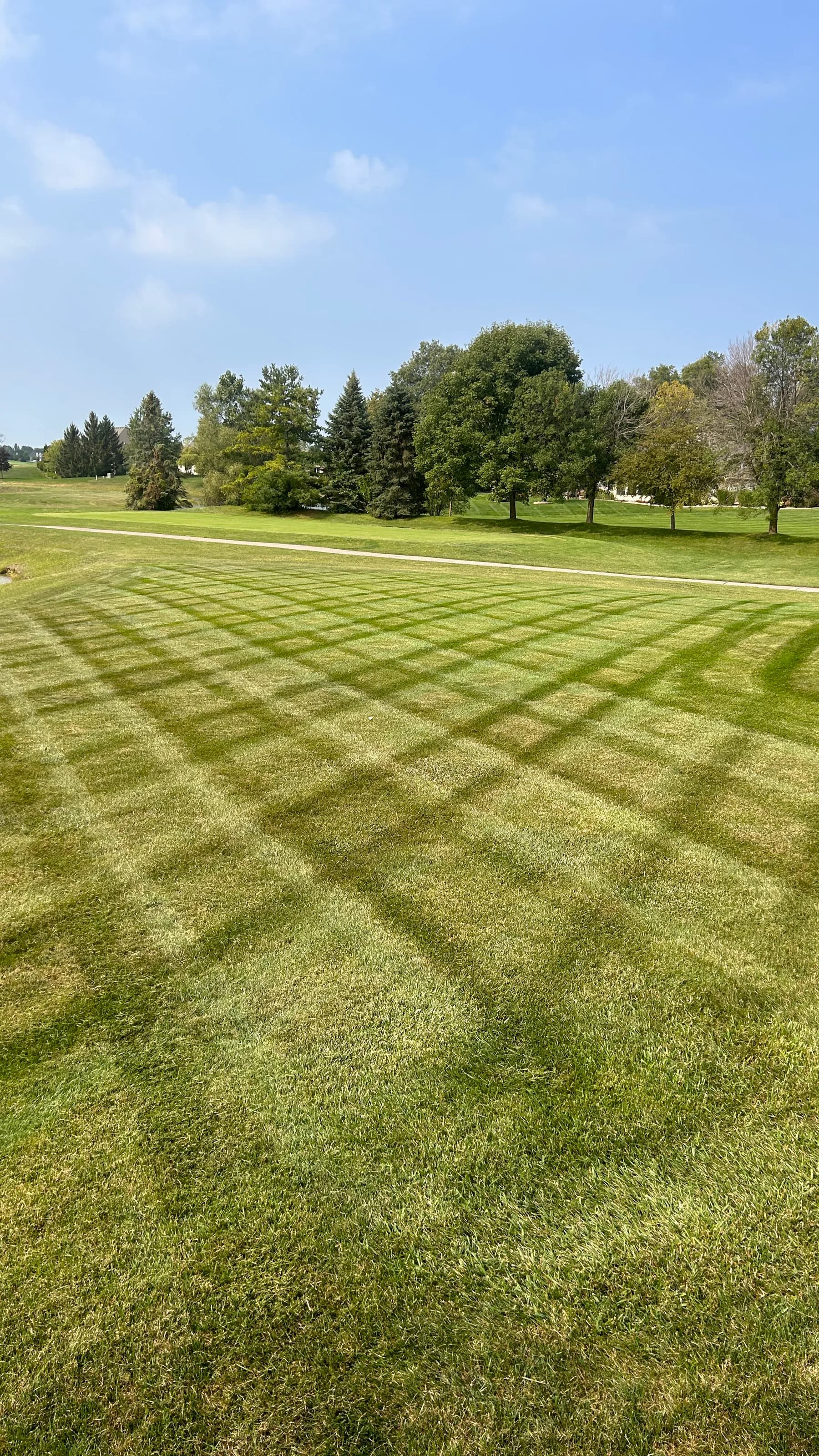 A checkerboard-cut lawn across a large green property