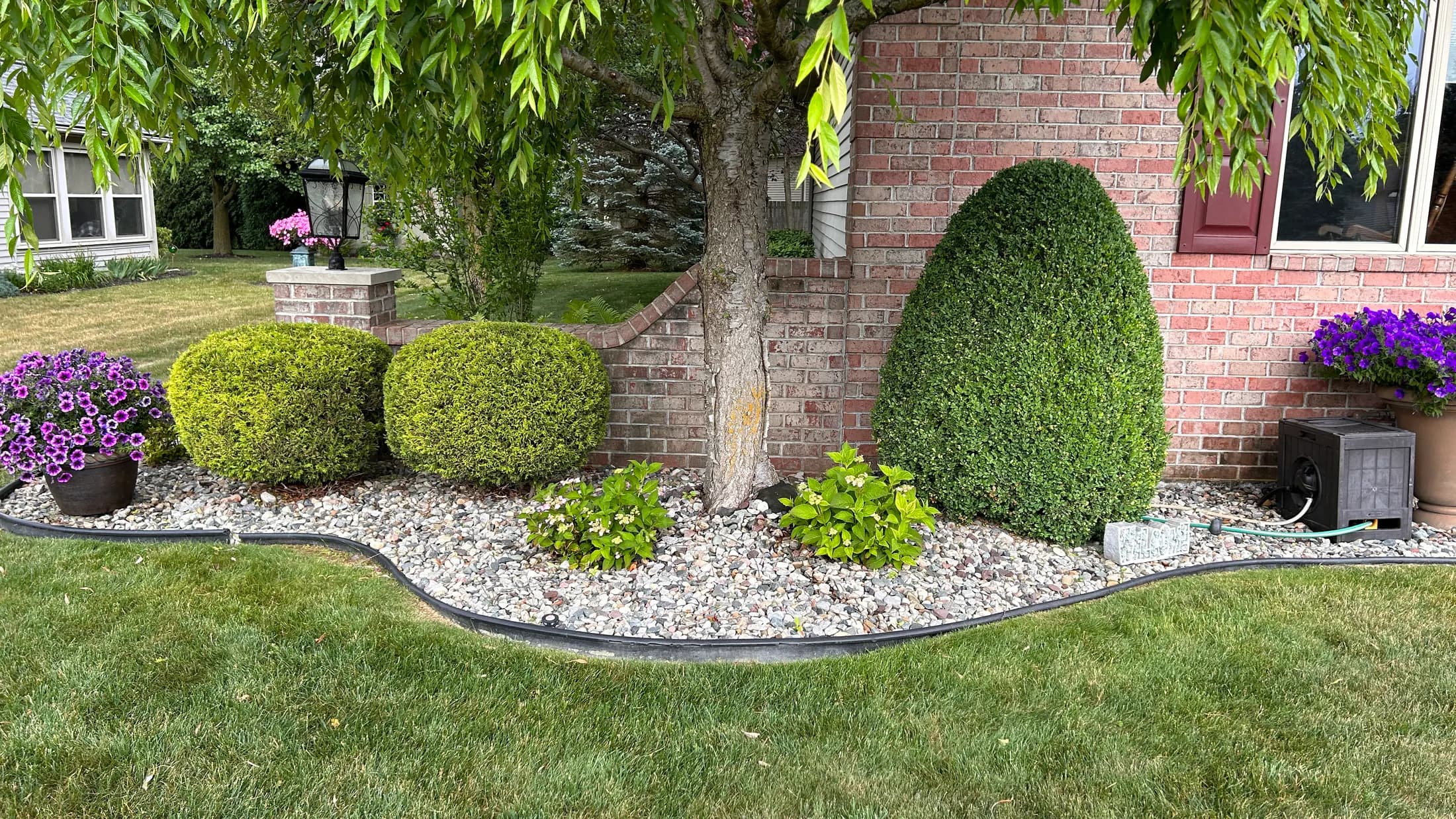 Precisely trimmed shrubs and flowering planters in a river rock bed