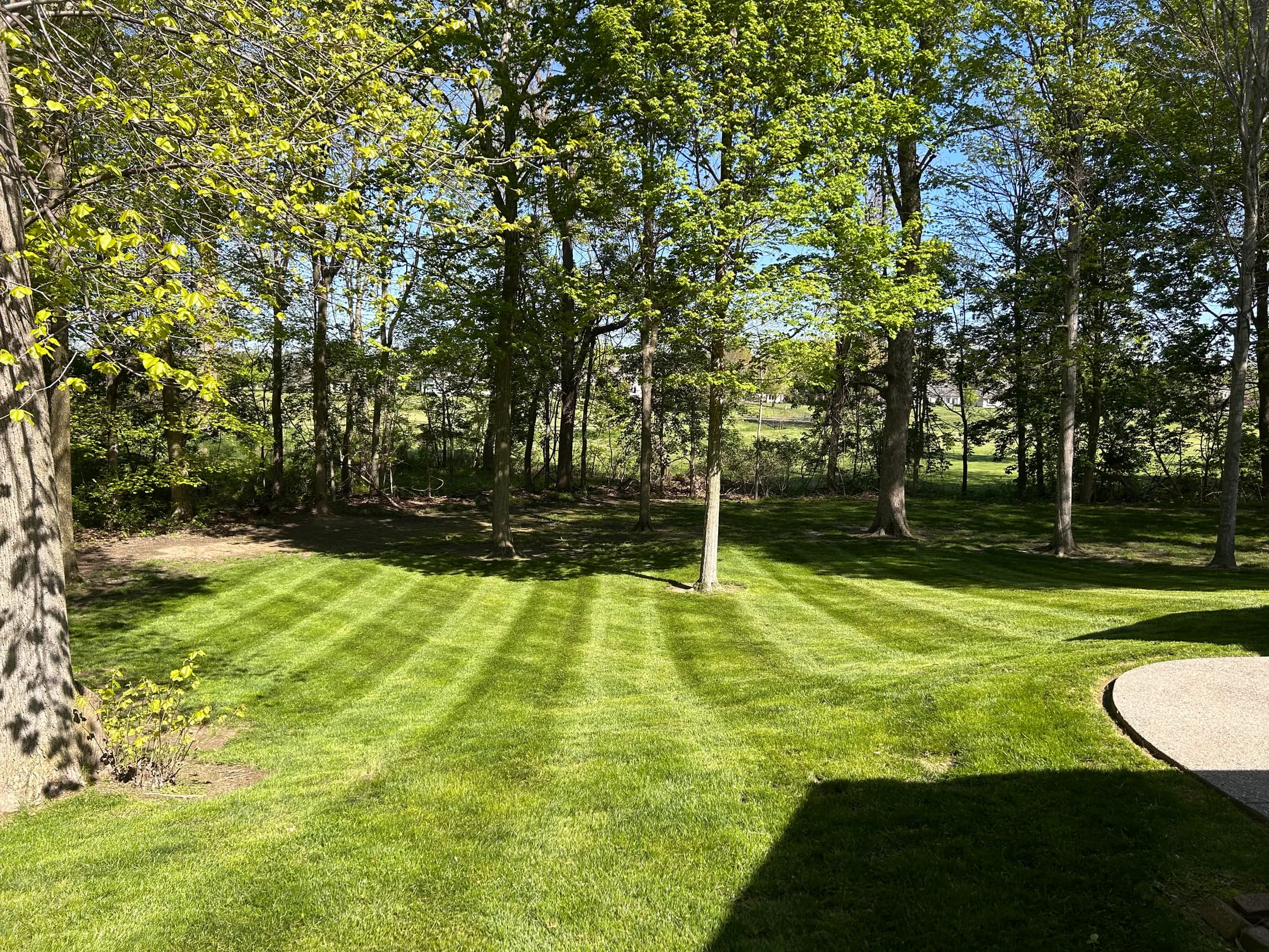 A striped lawn extending through a mature wooded property